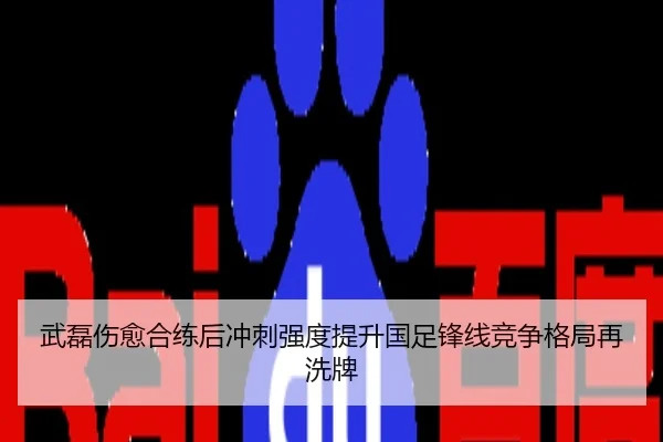 武磊伤愈合练后冲刺强度提升国足锋线竞争格局再洗牌
